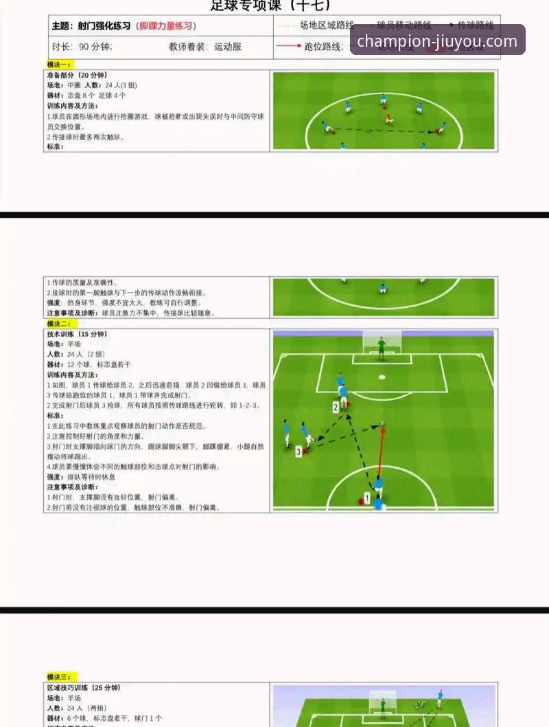 九游体育正版授权 瑞典中场贝里瓦尔世界杯梦圆实战操作教程:从伤病到满座主场全记录